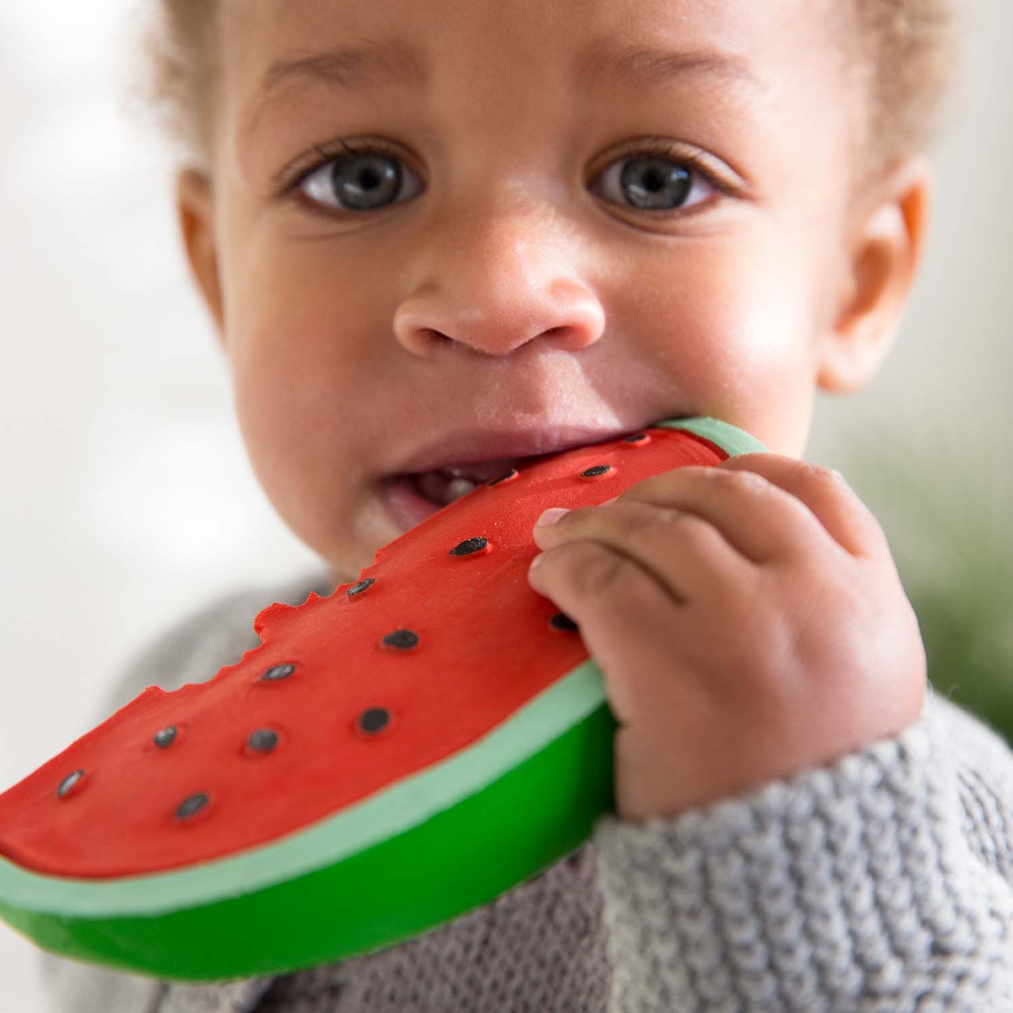 Oli & Carol Wally the Watermelon, Bad und Beißspielzeug